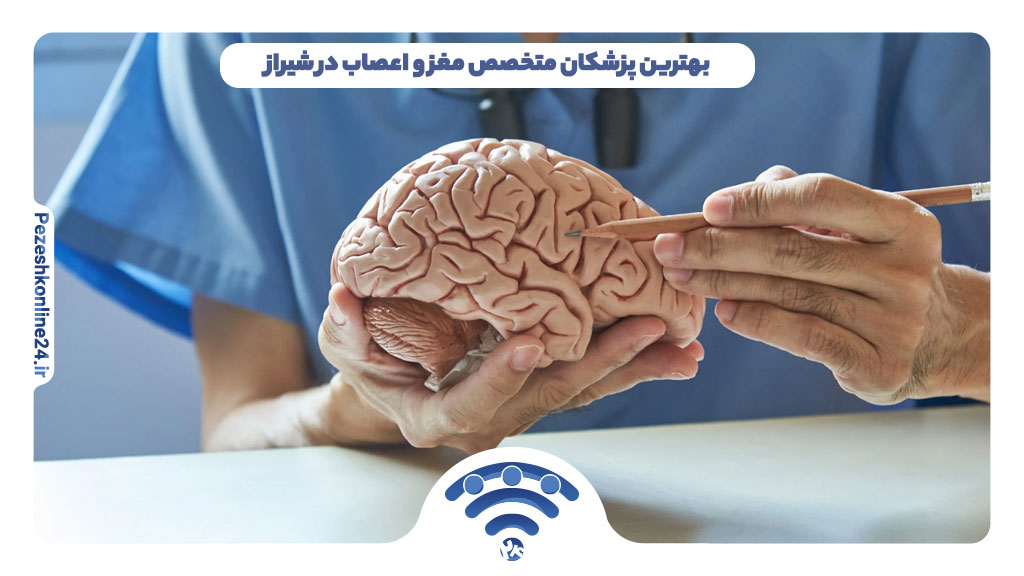 بهترین دکتر متخصص مغز و اعصاب در شیراز | دریافت نوبت اینترنتی ❤️