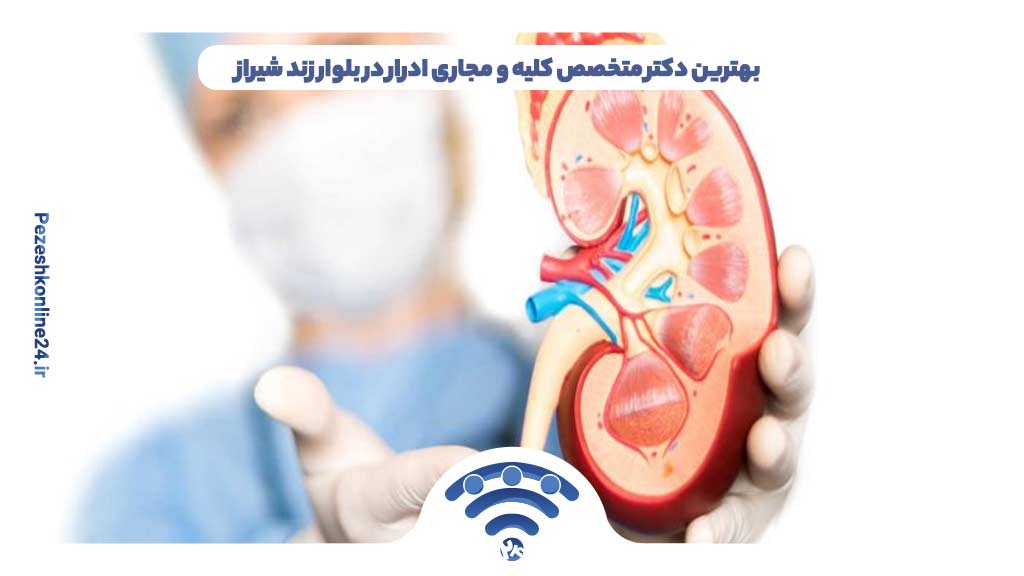 بهترین دکتر متخصص کلیه و مجاری ادرار در بلوار زند شیراز