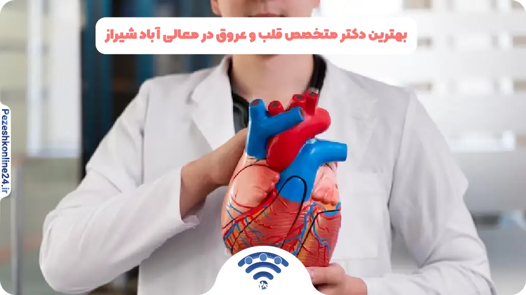 بهترین دکتر متخصص قلب و عروق در معالی آباد شیراز