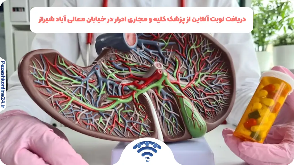 دریافت نوبت آنلاین از پزشک کلیه و مجاری ادرار در خیابان معالی آباد شیراز