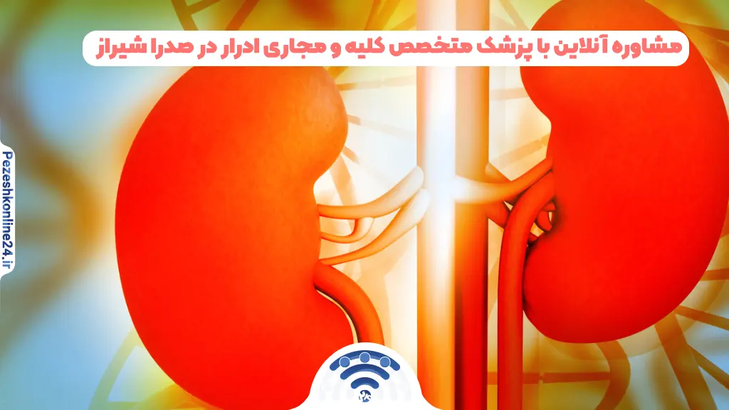 مشاوره آنلاین با پزشک متخصص کلیه و مجاری ادرار در صدرا شیراز