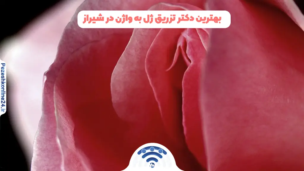 تزریق ژل به واژن در شیراز